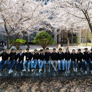 Spring1
